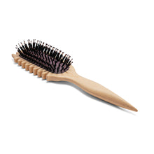 Hairbrush with black bristles on a white background